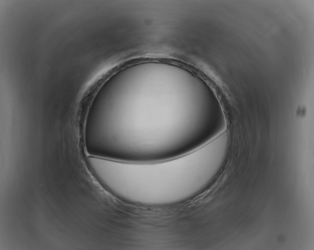 X0000097631456200802290832