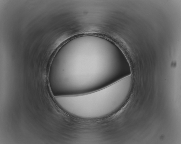 X0000097631457200802290832