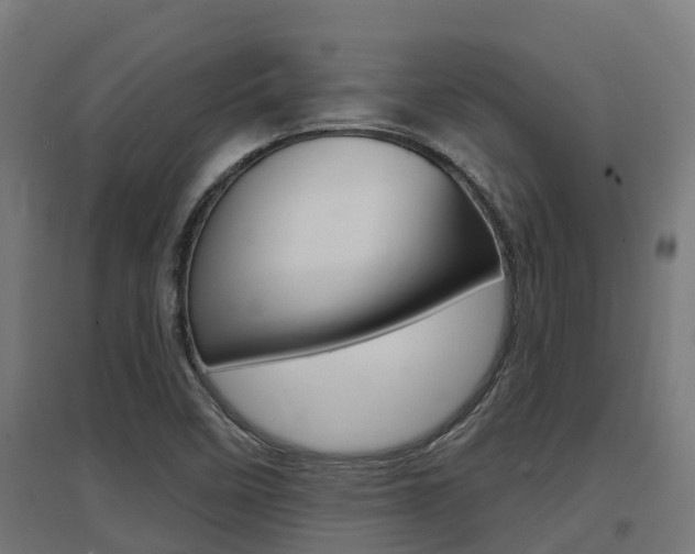 X0000097631458200802290832