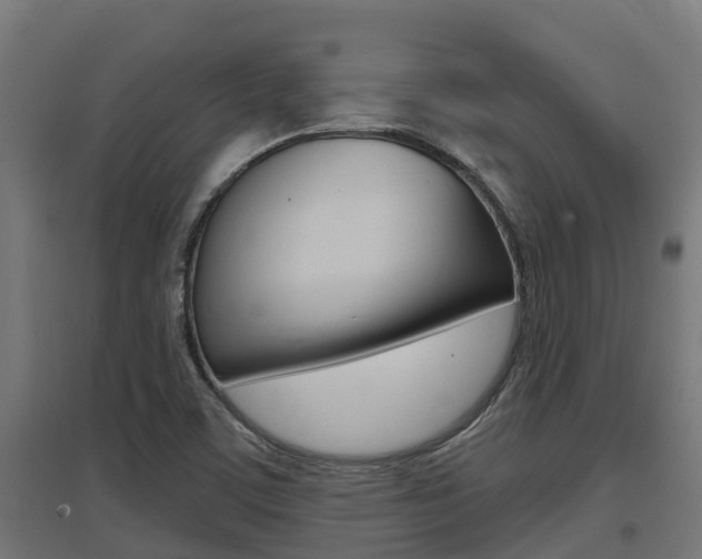 X0000097631459200802290832