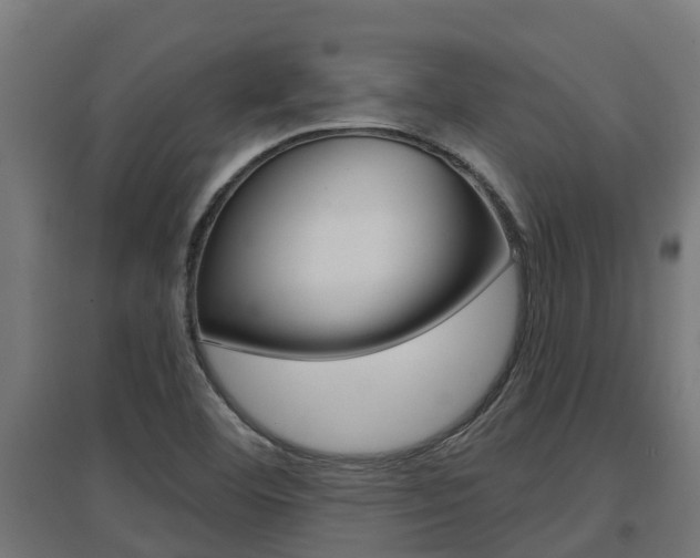 X0000097631460200802290832