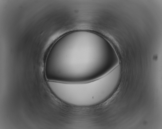 X0000097631461200802290832