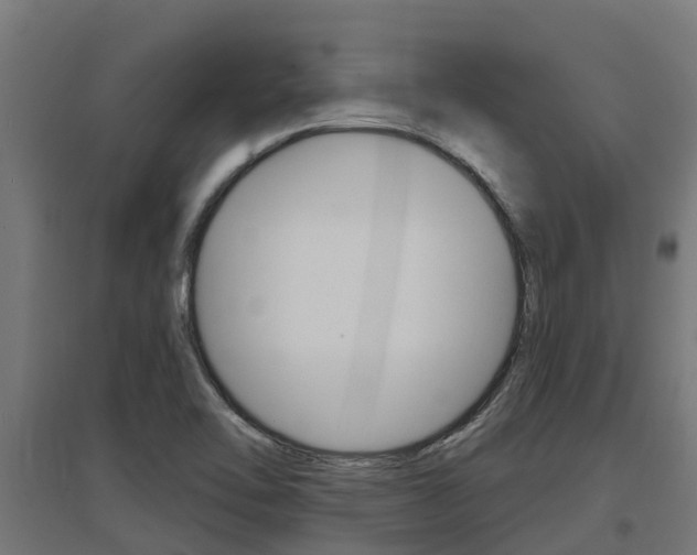 X0000097631462200802290832