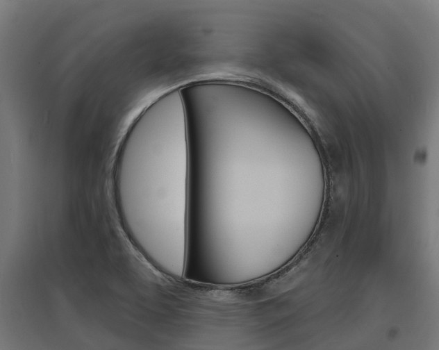 X0000097631463200802290832