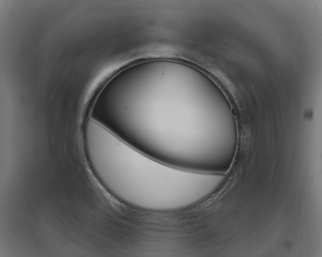 X0000097631464200802290832