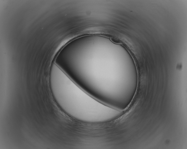 X0000097631465200802290832