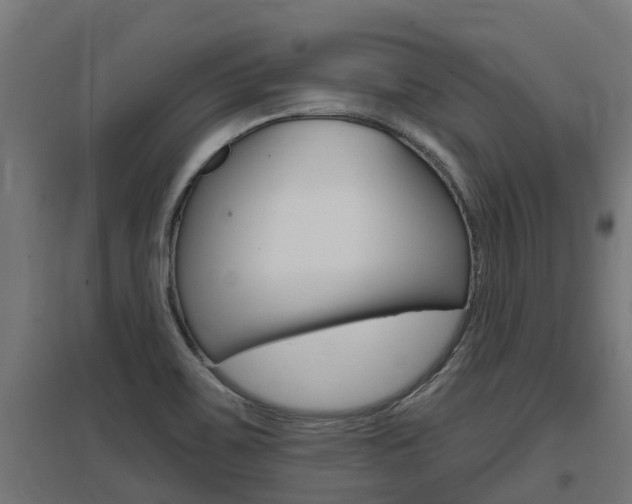 X0000097631467200802290832