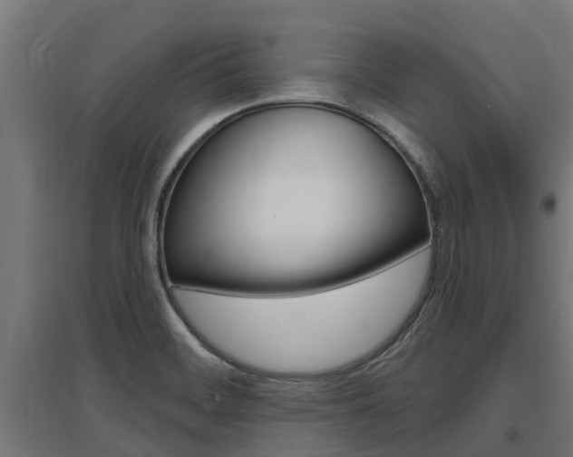X0000097631468200802290832