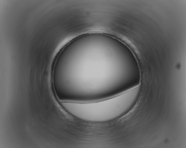 X0000097631469200802290832