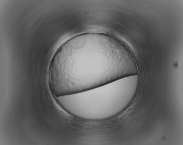 X0000097631471200802290832
