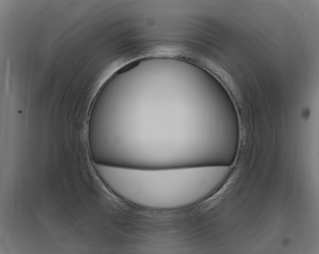X0000097631473200802290832
