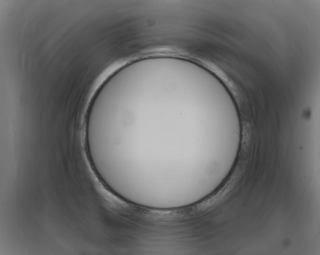 X0000097631474200802290832