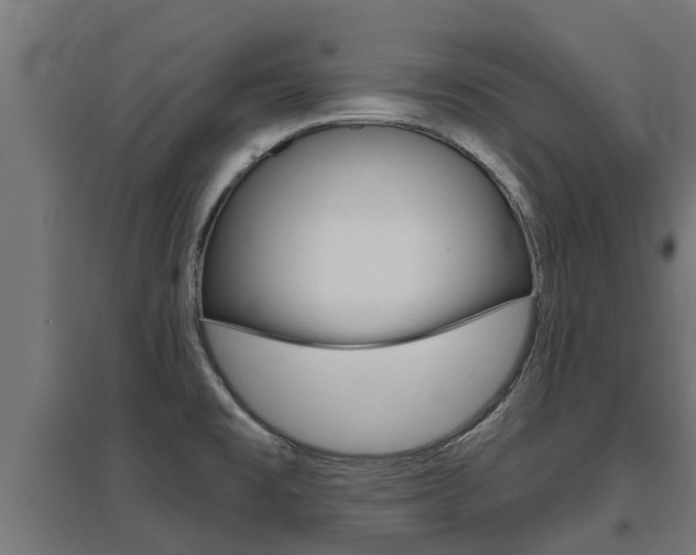 X0000097631477200802290832
