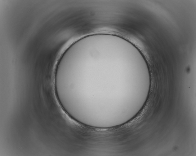X0000097631478200802290832