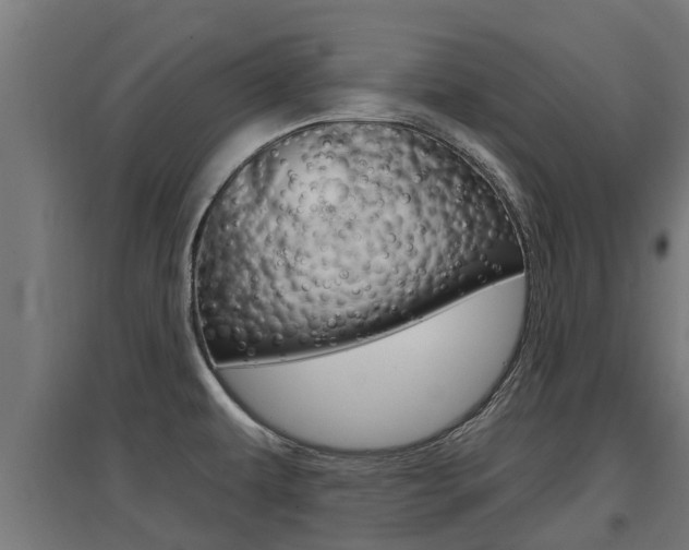 X0000097631479200802290832
