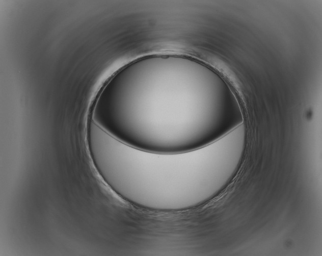 X0000097631480200802290832