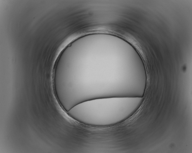 X0000097631482200802290832