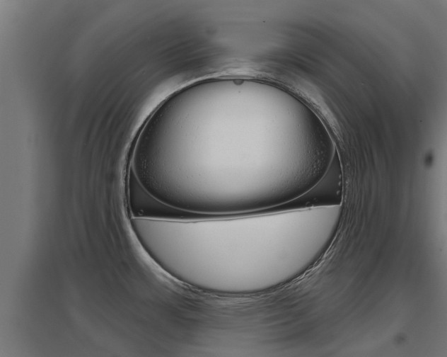 X0000097631483200802290832