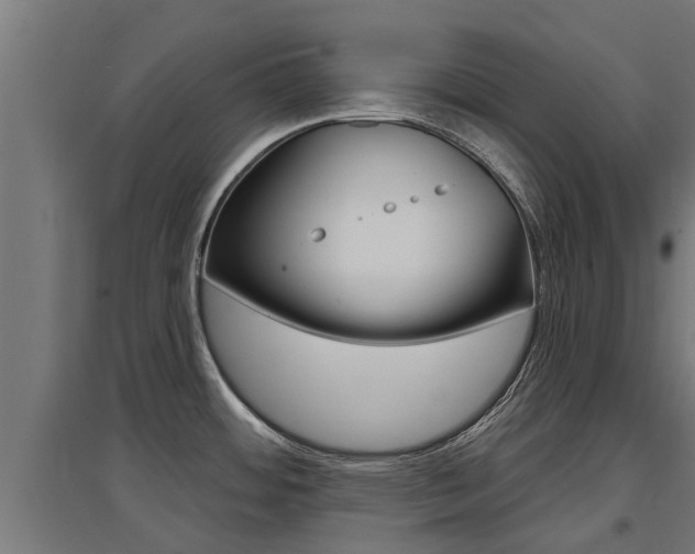 X0000097631484200802290832