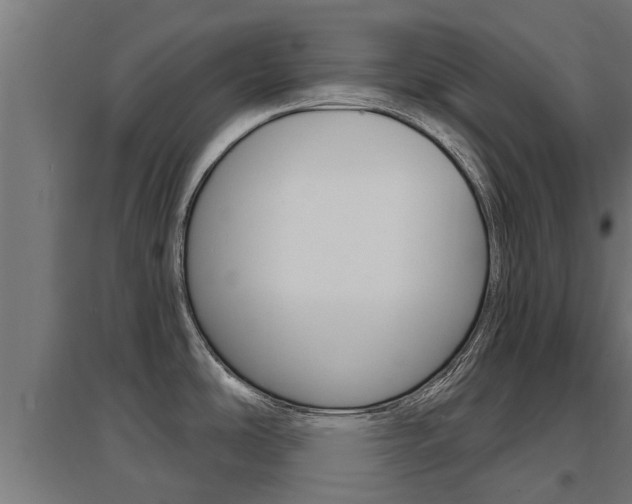 X0000097631486200802290832