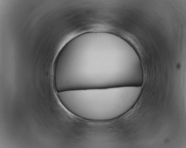 X0000097631487200802290832