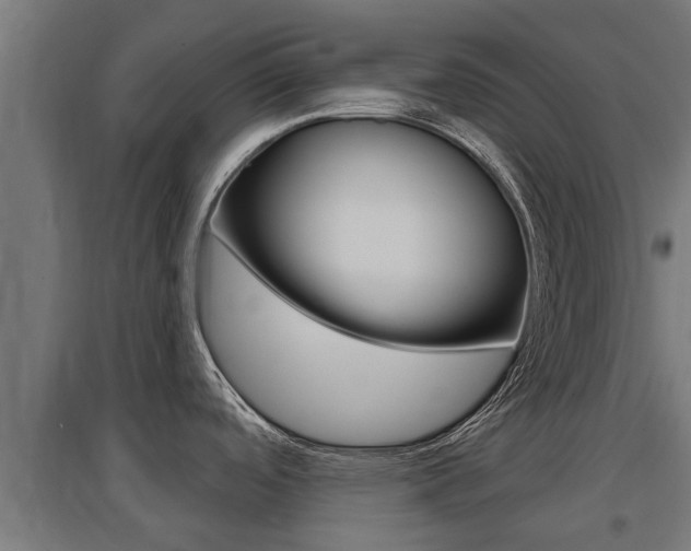 X0000097631488200802290832