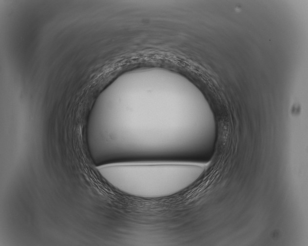 X0000097631489200802290831