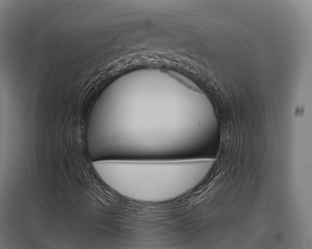 X0000097631490200802290831