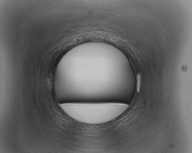 X0000097631491200802290831