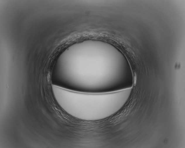 X0000097631492200802290831