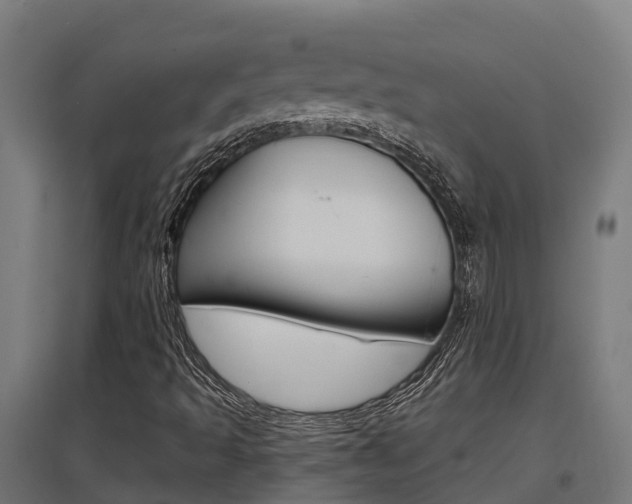 X0000097631493200802290831