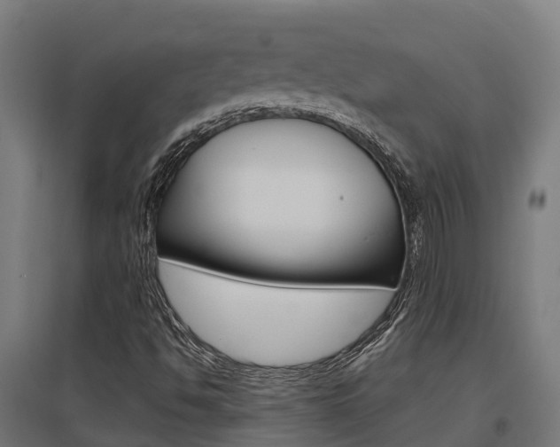 X0000097631494200802290831
