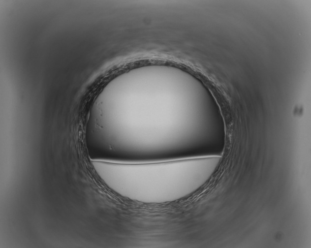 X0000097631495200802290831