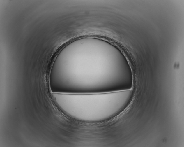 X0000097631497200802290831