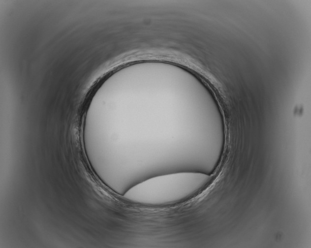 X0000097631498200802290831