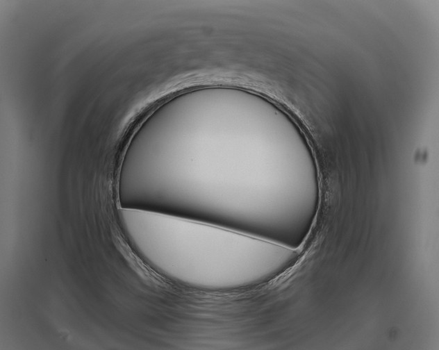 X0000097631499200802290831