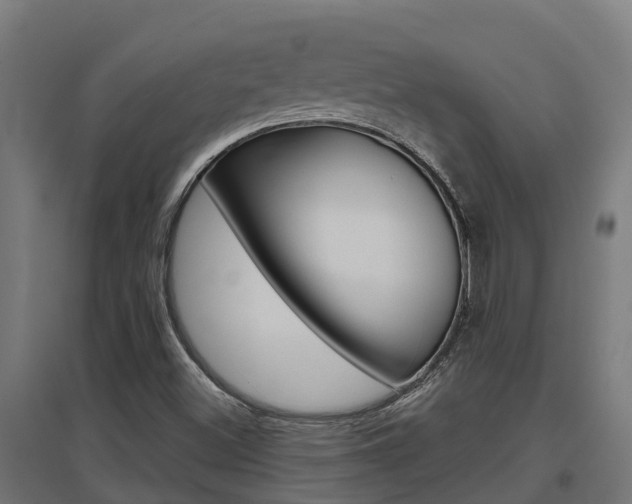 X0000097631500200802290831