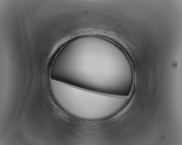 X0000097631501200802290831