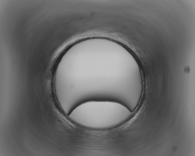 X0000097631502200802290831