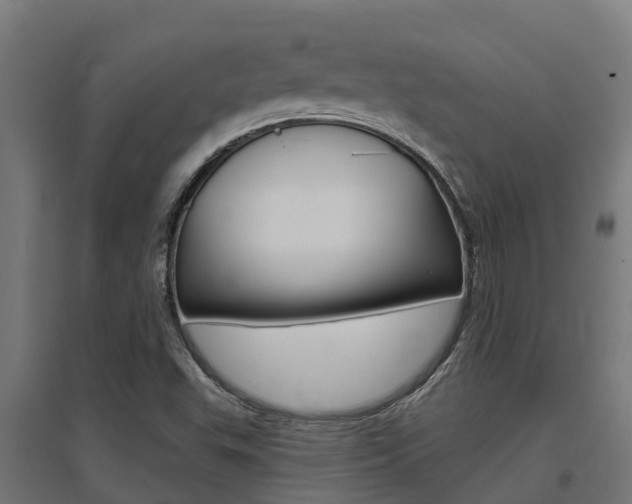 X0000097631503200802290831