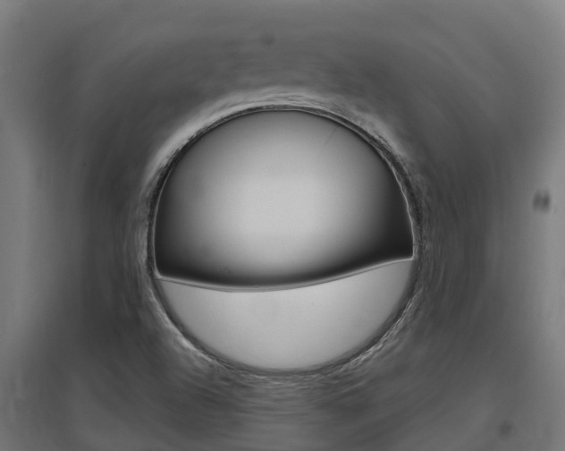 X0000097631504200802290831