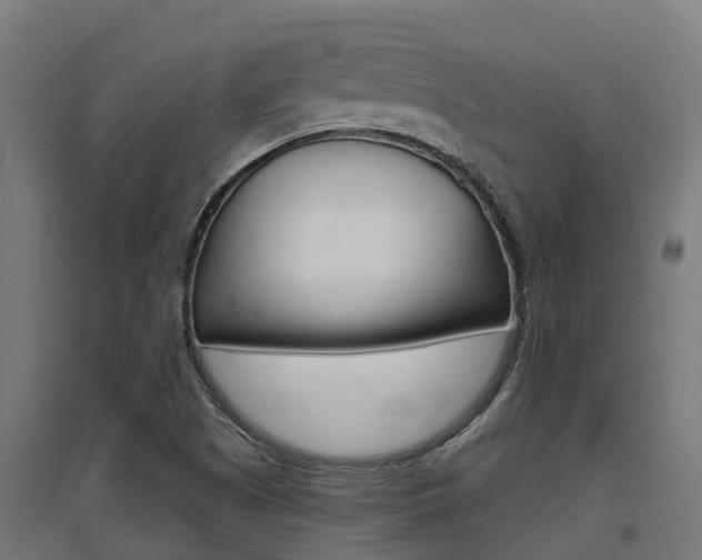 X0000097631505200802290831