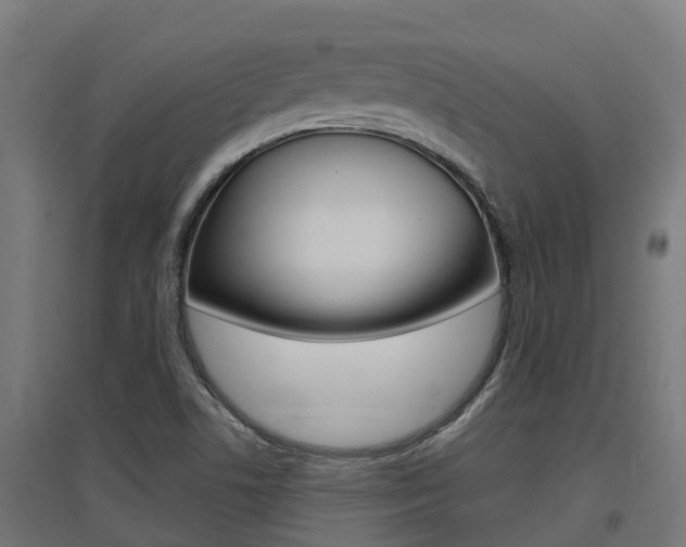 X0000097631506200802290831