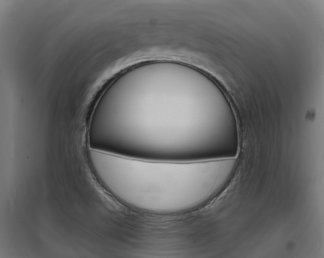X0000097631507200802290831