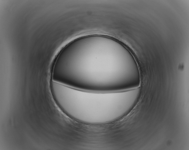 X0000097631508200802290831