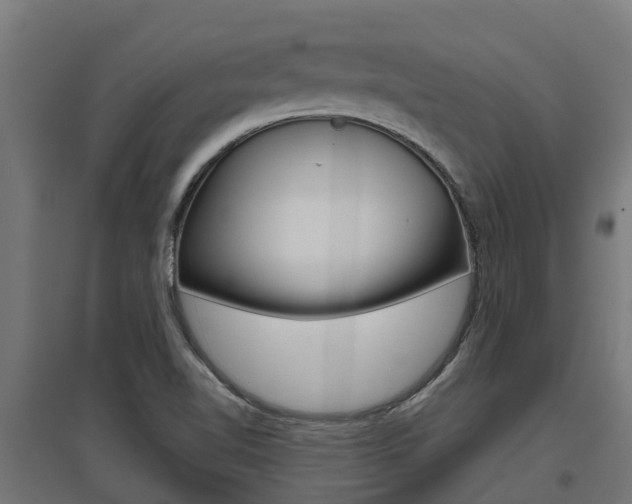 X0000097631510200802290831