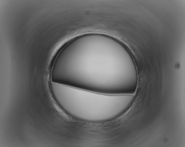 X0000097631511200802290831