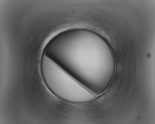 X0000097631512200802290831