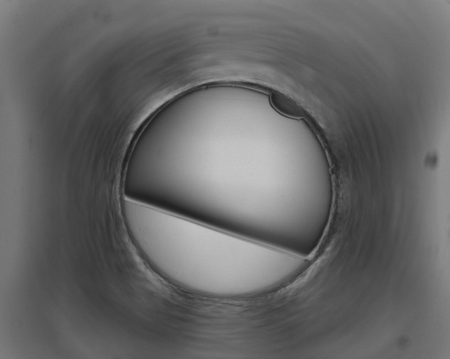 X0000097631513200802290831
