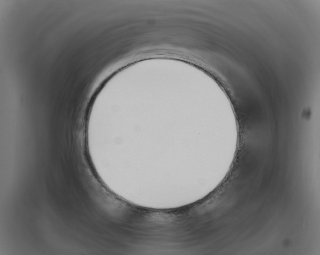 X0000097631514200802290831